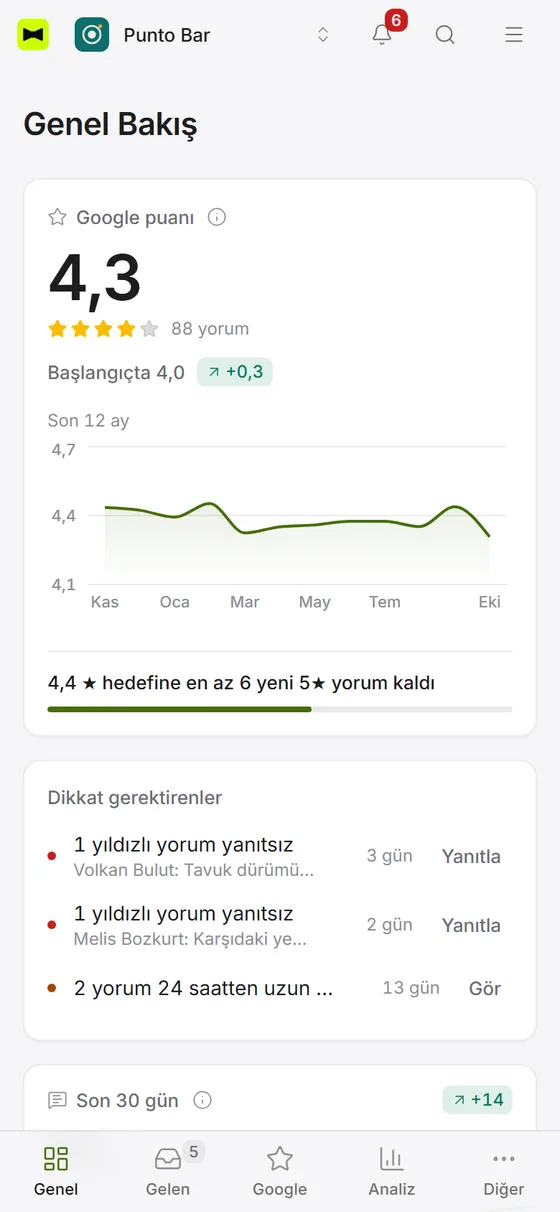 Telefonda Genel Bakış: 4,3 Google puanı, puan grafiği ve hedef şeridi, altta Genel, Gelen, Google, Analiz ve Diğer sekmeleri.